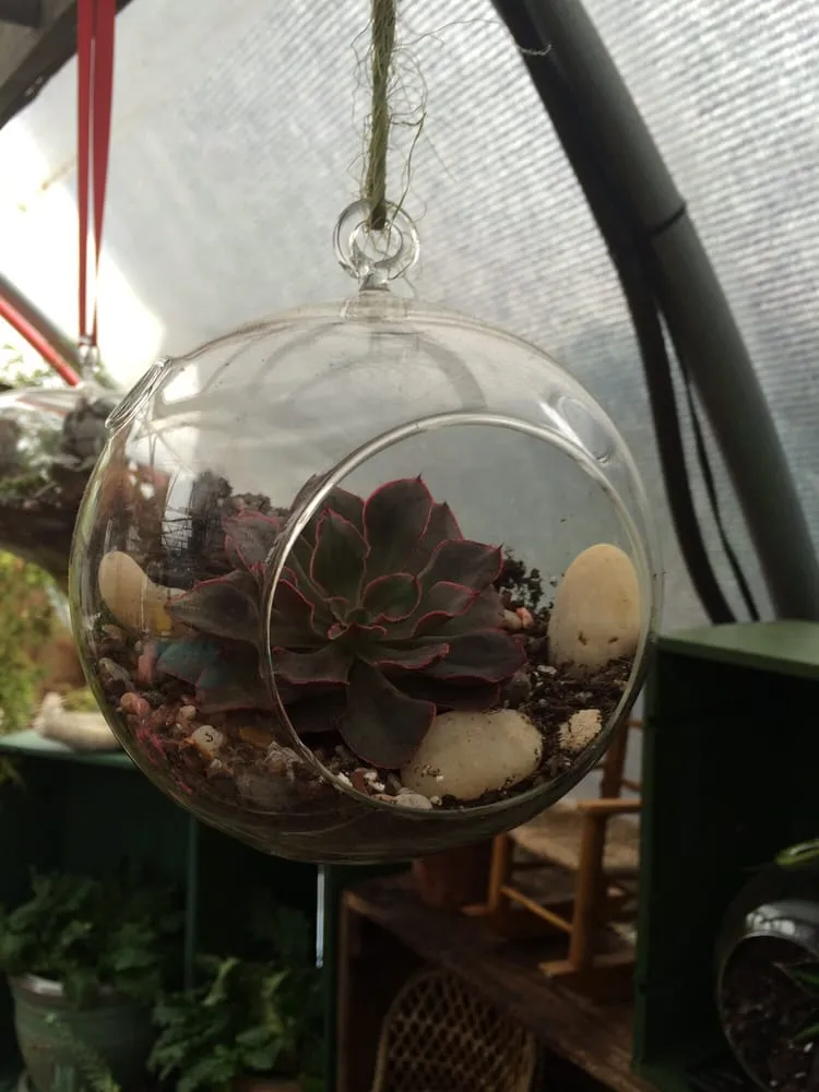 Affordable yard cleanup service in Foster, RI by Natural Designs