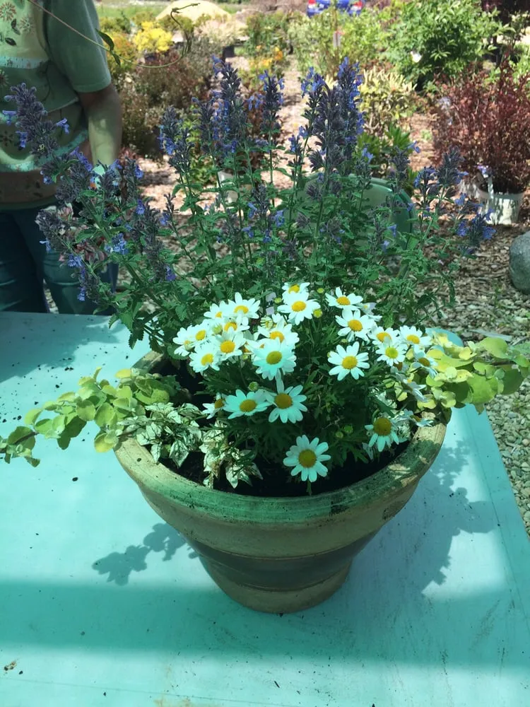 Local lawn care service near you across Foster, RI - Natural Designs