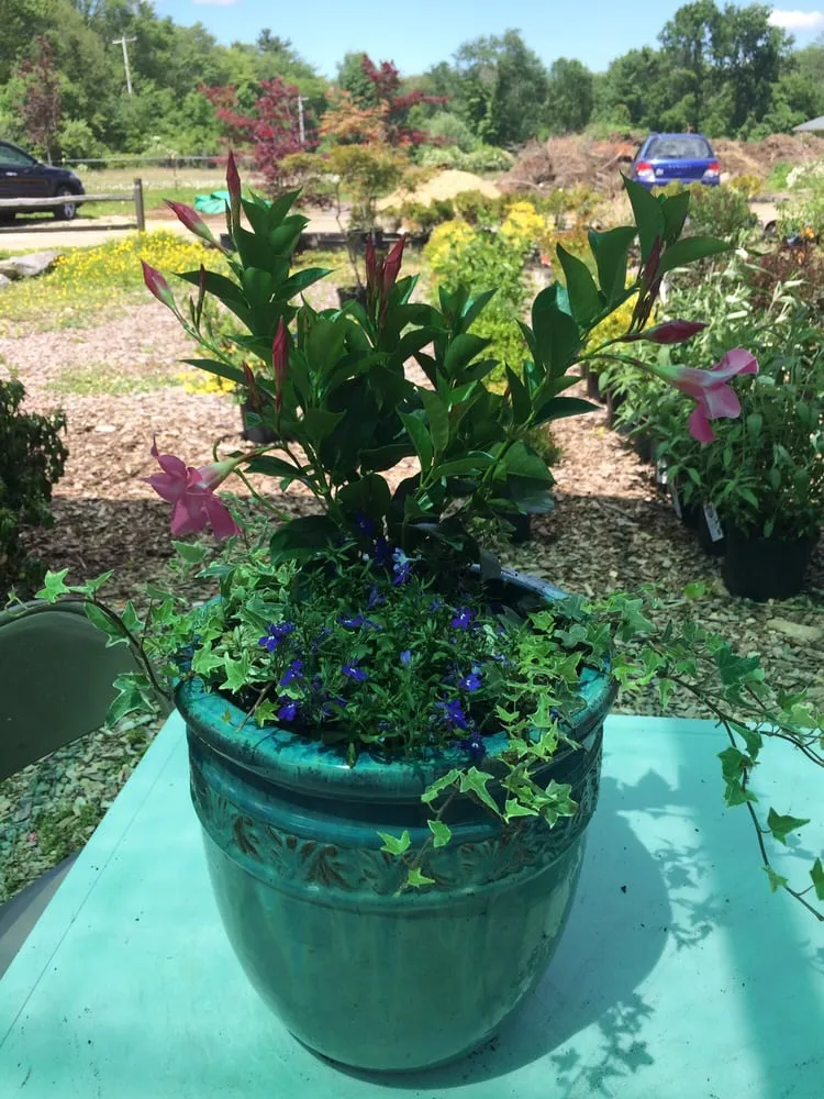 Affordable yard cleanup service in Foster, RI by Natural Designs