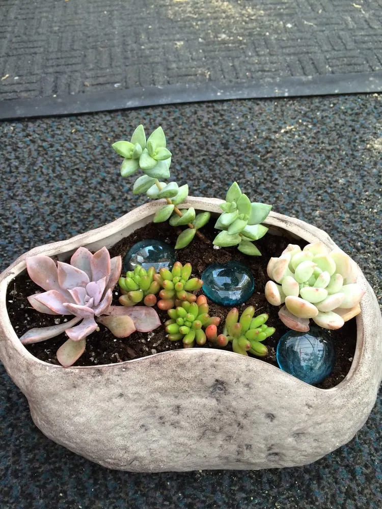 Affordable yard maintenance for year-round maintenance across Foster, RI - Natural Designs