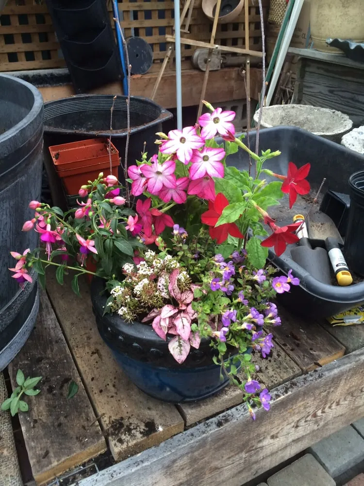 Affordable residential landscaping experts serving Foster, RI - Natural Designs