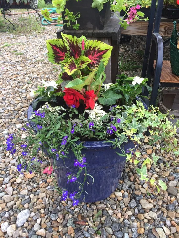 Top-rated garden landscaping in Foster, RI by Natural Designs