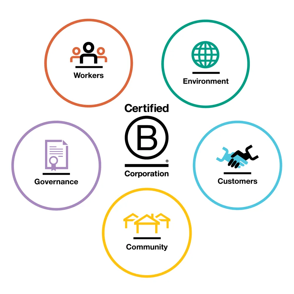 Top-rated garden landscaping in Lutz, FL by Natural Designs Landscaping