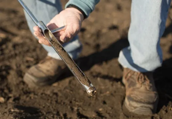 Natural Designs Landscaping Logo