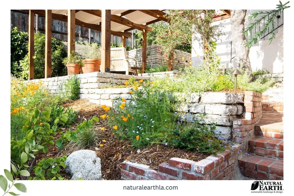 Trusted yard maintenance in Claremont, CA by Natural Earth
