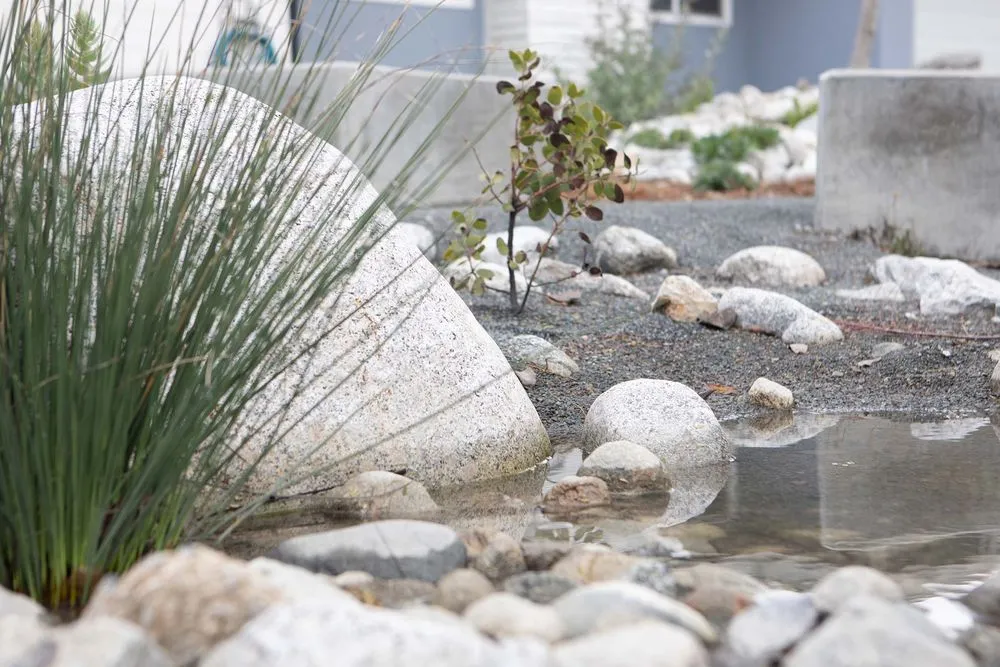 Local garden landscaping with custom design across Claremont, CA - Natural Earth