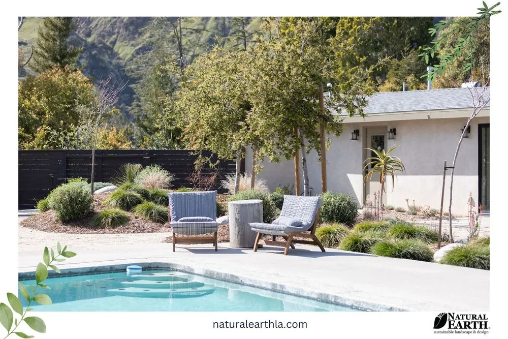 Expert yard cleanup service for homes in Claremont, CA by Natural Earth