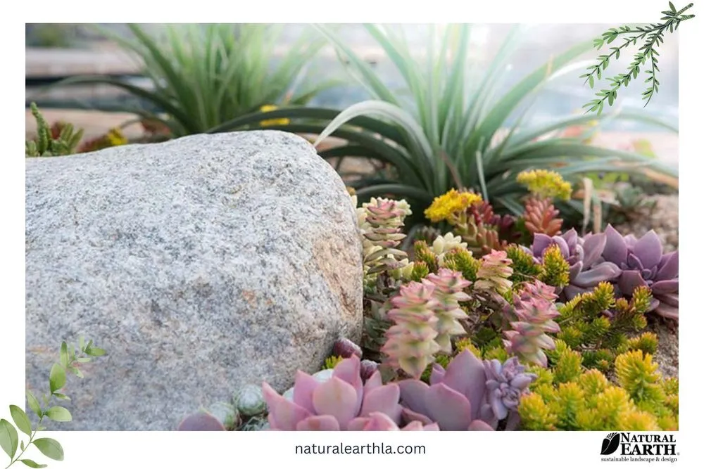 Trusted garden landscaping for beautiful yards across Claremont, CA - Natural Earth