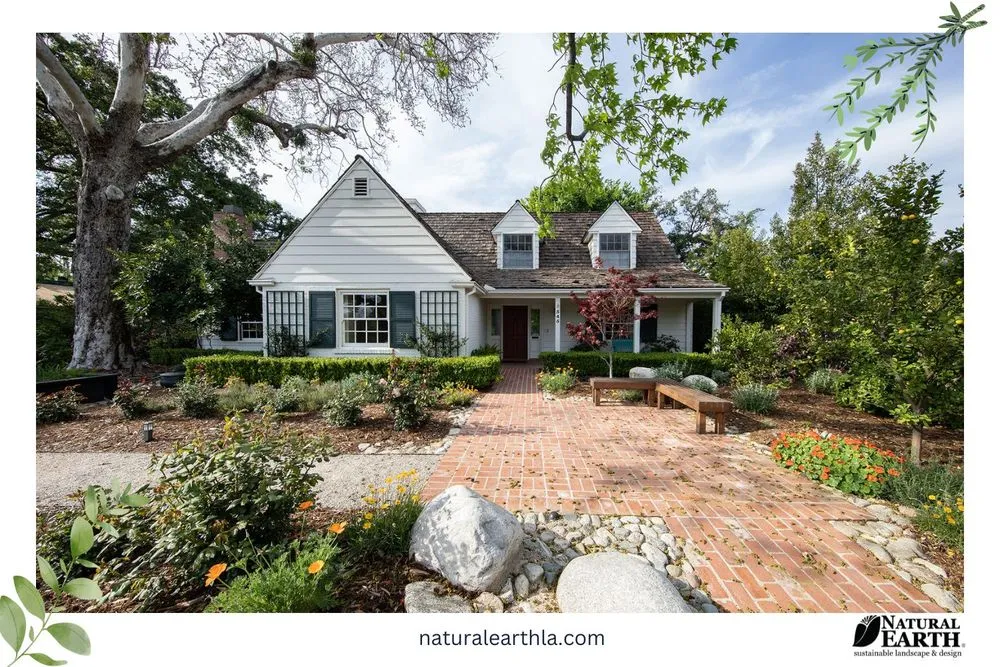 Affordable yard maintenance in Claremont, CA - Natural Earth