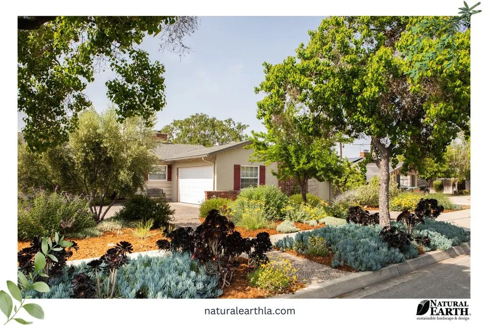 Top-rated residential landscaping in Claremont, CA - Natural Earth