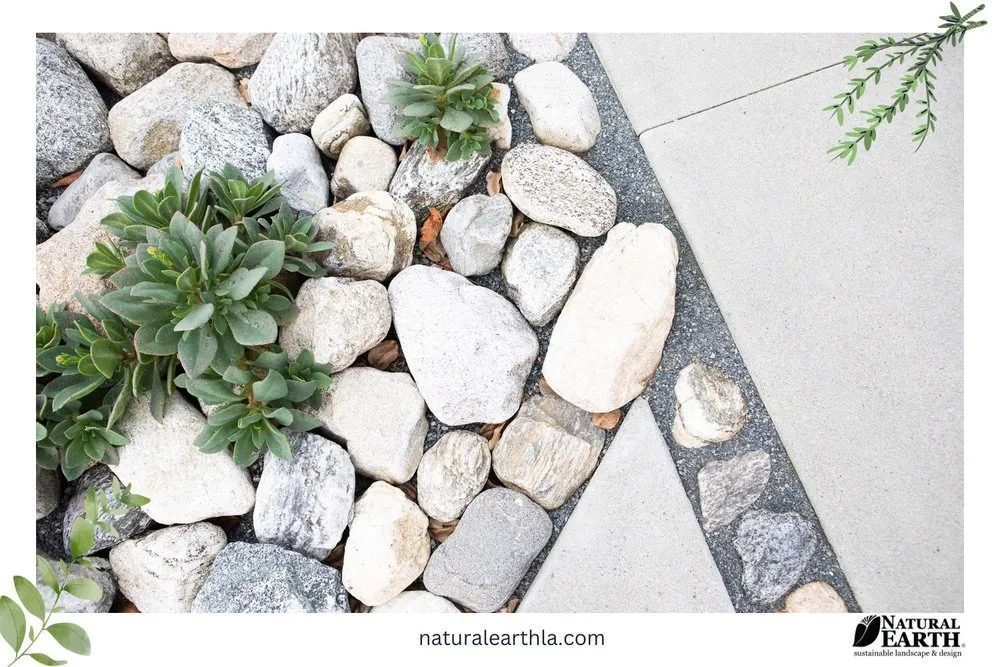 Custom yard cleanup service in Claremont, CA by Natural Earth