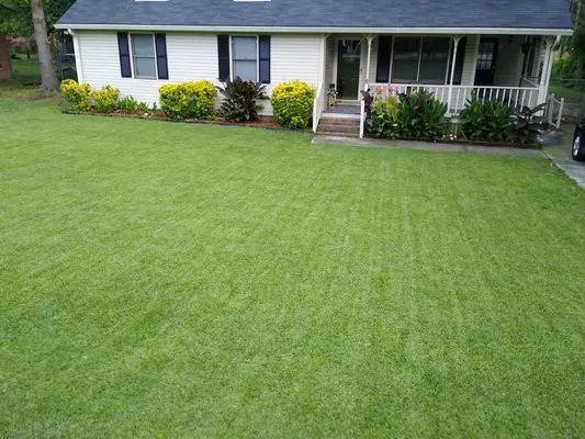 Natural Earth Lawn Services Logo