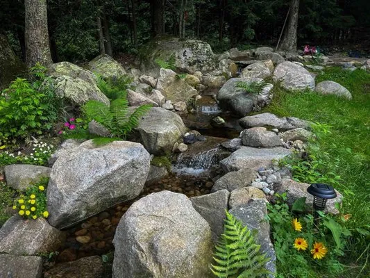 Natural Elements by Design