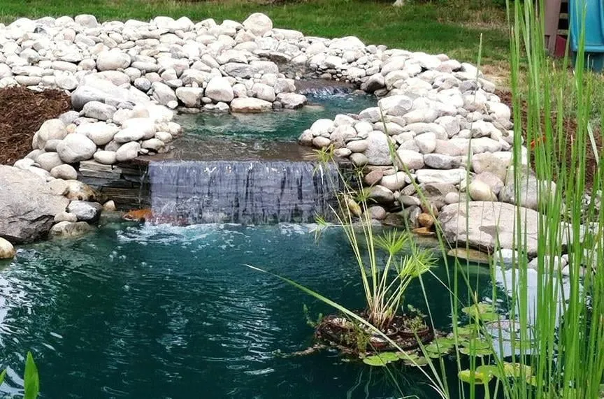 Custom lawn care service for beautiful yards across Mechanicsville, MD - Natural Elements