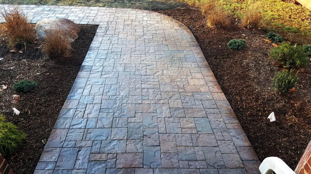 Trusted yard cleanup service in Mechanicsville, MD by Natural Elements