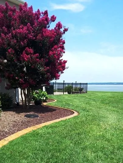 Trusted lawn care service with custom design across Mechanicsville, MD - Natural Elements