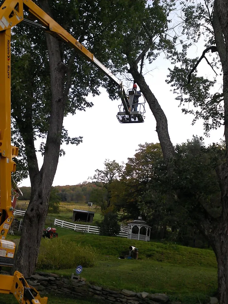 Affordable landscape installation in Kirkwood, NY - Natural Expressions Tree and Landscape