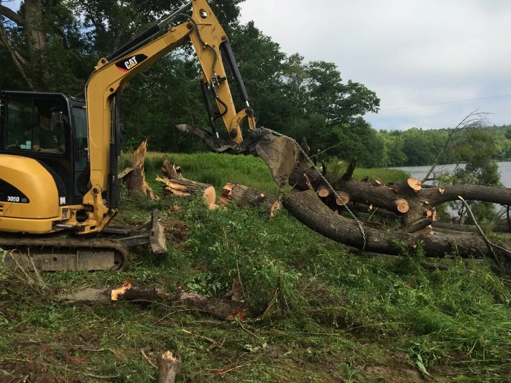 Local landscape installation for year-round maintenance across Kirkwood, NY - Natural Expressions Tree and Landscape