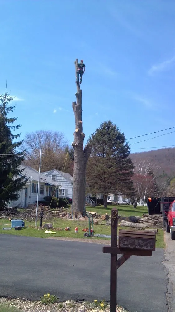 Local lawn care service with custom design in Kirkwood, NY by Natural Expressions Tree and Landscape