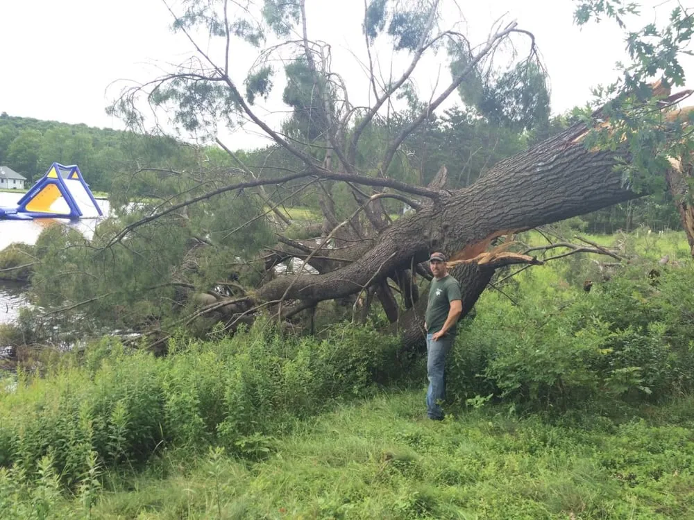 Expert outdoor landscaping near you across Kirkwood, NY - Natural Expressions Tree and Landscape