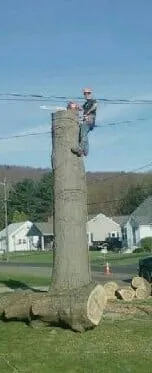 Trusted outdoor landscaping for residential properties across Kirkwood, NY - Natural Expressions Tree and Landscape