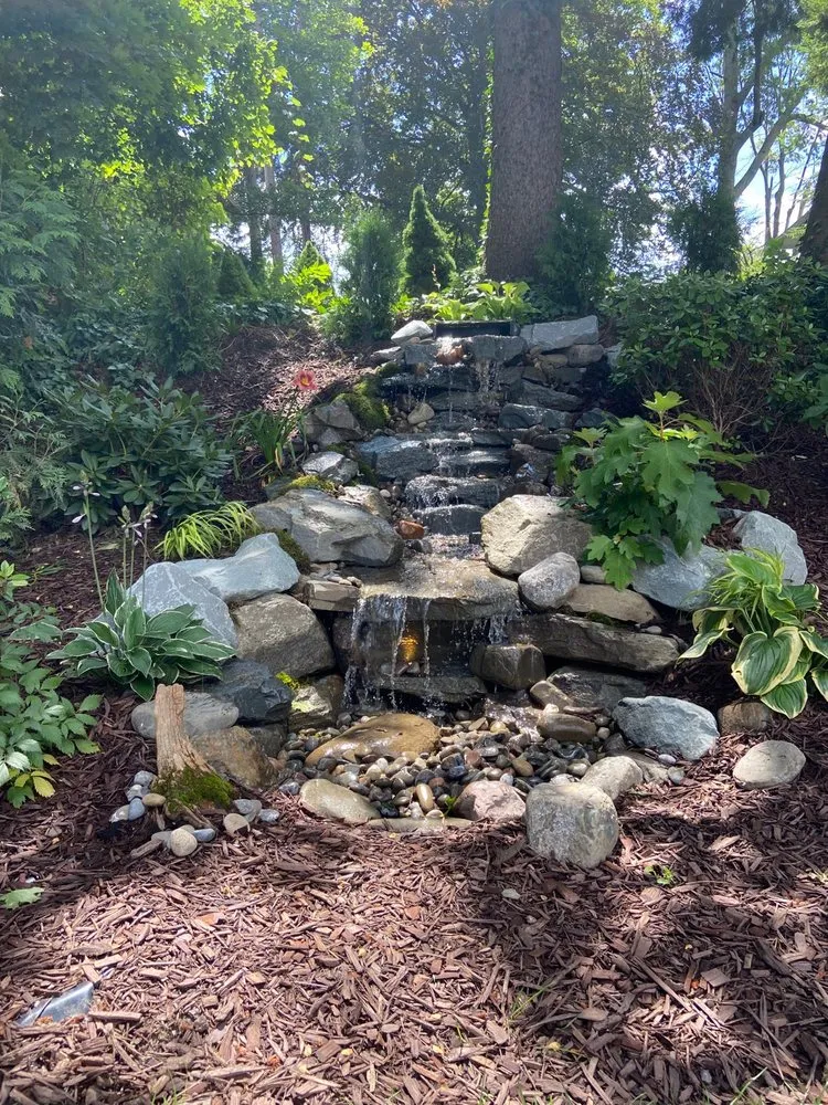 Top-rated lawn care service experts serving Kirkwood, NY - Natural Expressions Tree and Landscape