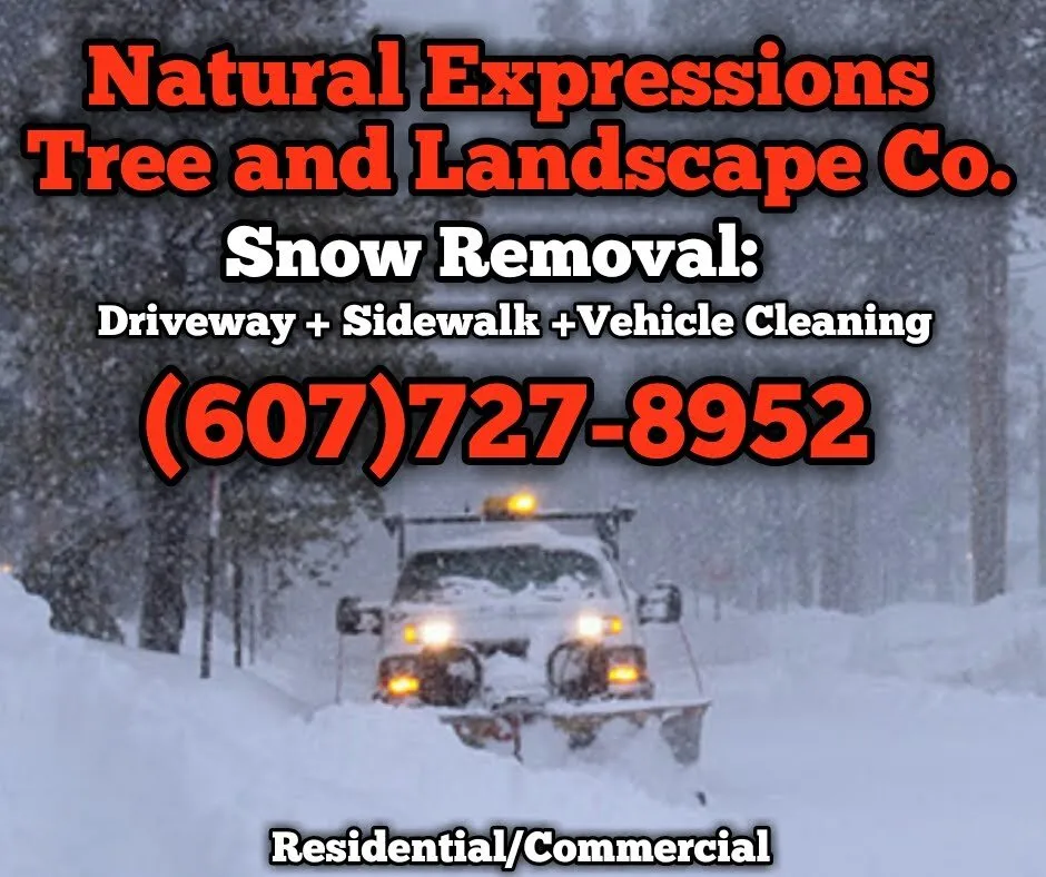 Expert lawn care service for beautiful yards across Kirkwood, NY - Natural Expressions Tree and Landscape