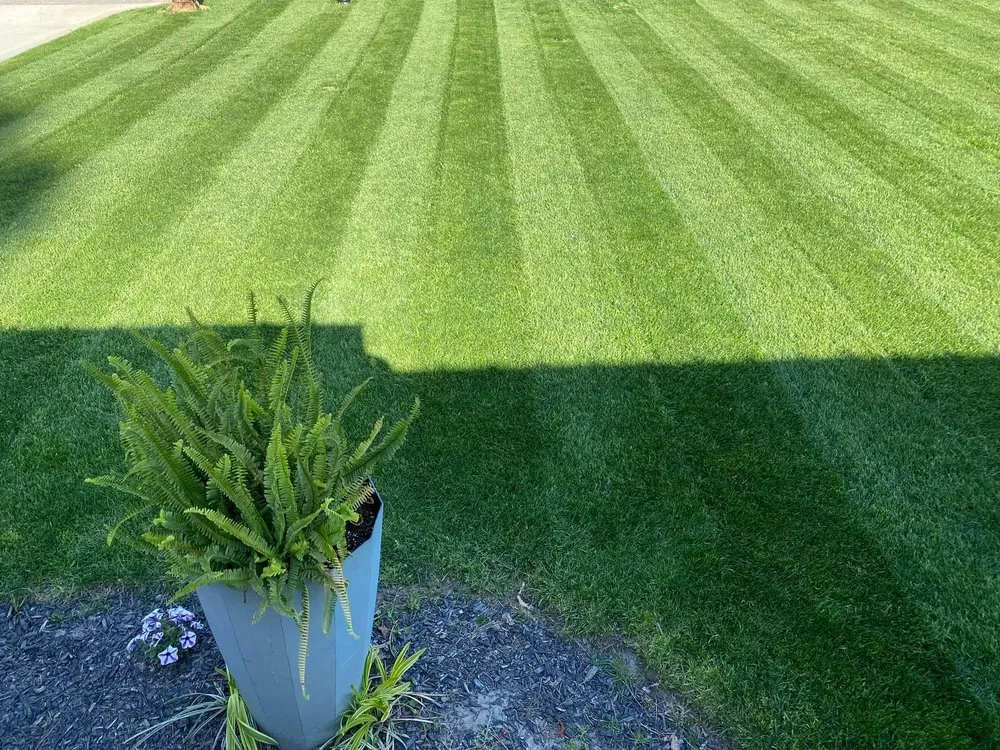 Affordable landscaping services for homes across Greensboro, NC - Natural Frontier Landscaping