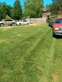 Top-rated lawn care service for year-round maintenance across Greensboro, NC - Natural Frontier Landscaping