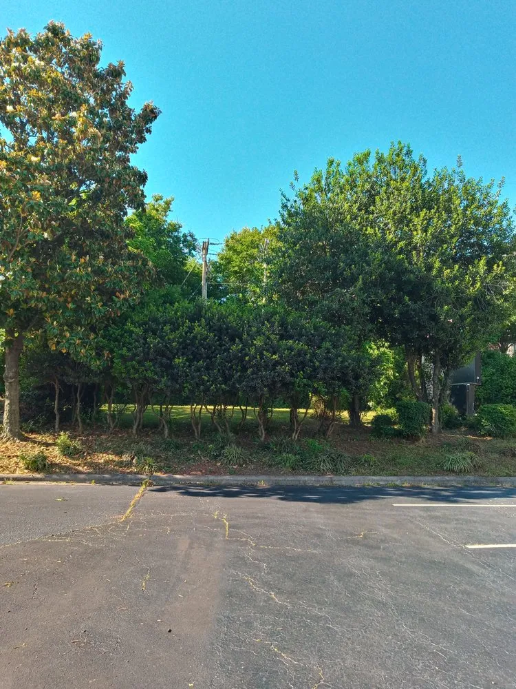 Expert outdoor landscaping for beautiful yards across Greensboro, NC - Natural Frontier Landscaping