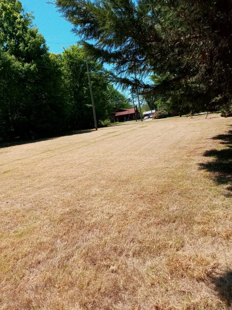 Affordable landscaping services in Greensboro, NC by Natural Frontier Landscaping