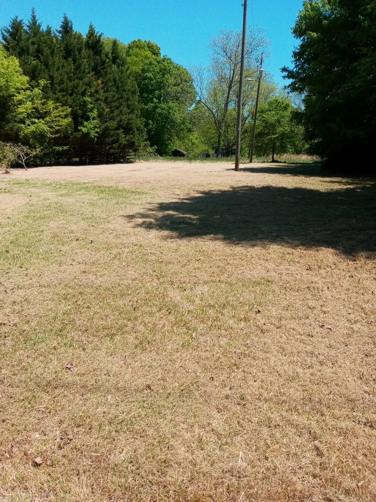Trusted lawn care service in Greensboro, NC by Natural Frontier Landscaping