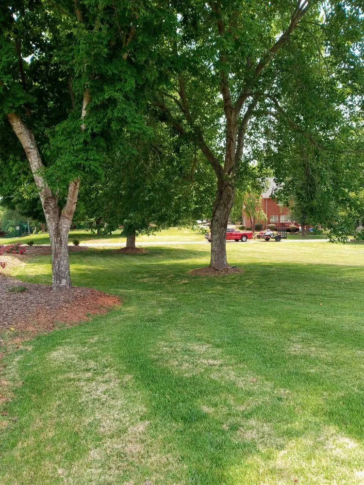 Affordable outdoor landscaping in Greensboro, NC by Natural Frontier Landscaping