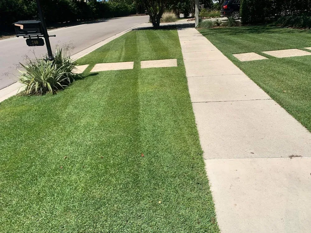 Reliable landscape design for beautiful yards in Greensboro, NC by Natural Frontier Landscaping