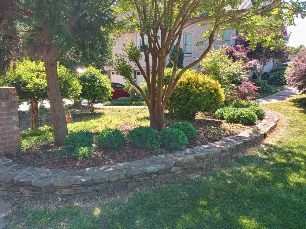 Reliable lawn care service in Greensboro, NC by Natural Frontier Landscaping