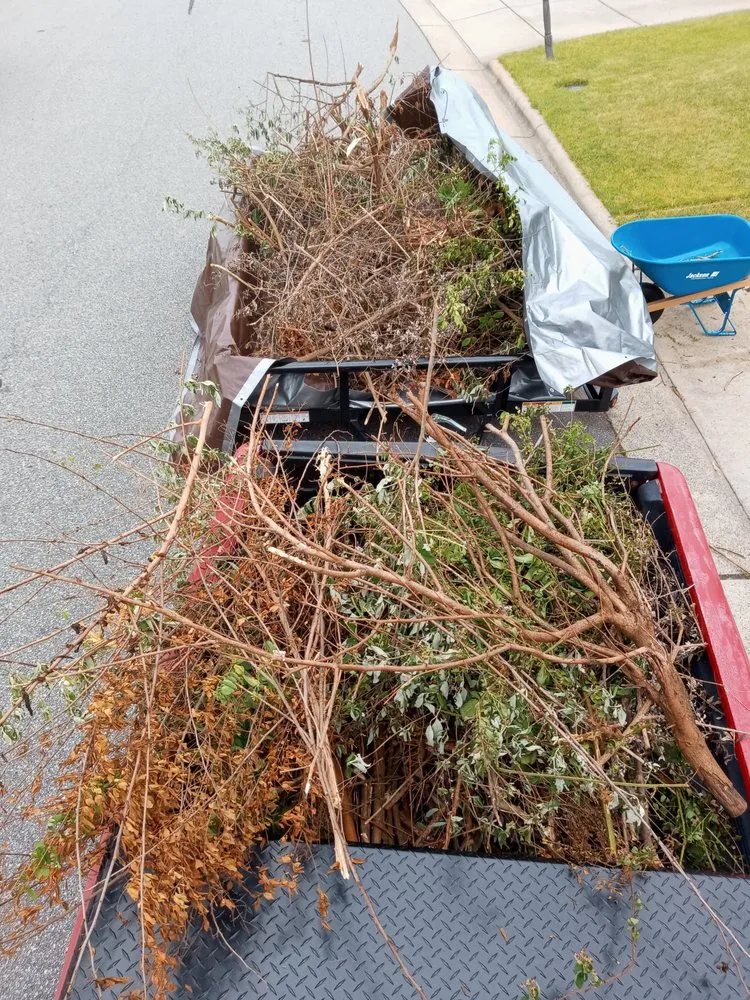 Custom outdoor landscaping in Greensboro, NC by Natural Frontier Landscaping