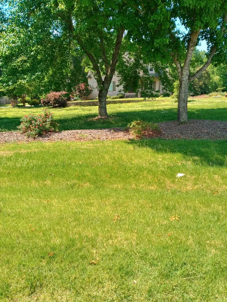 Affordable garden landscaping for beautiful yards across Greensboro, NC - Natural Frontier Landscaping