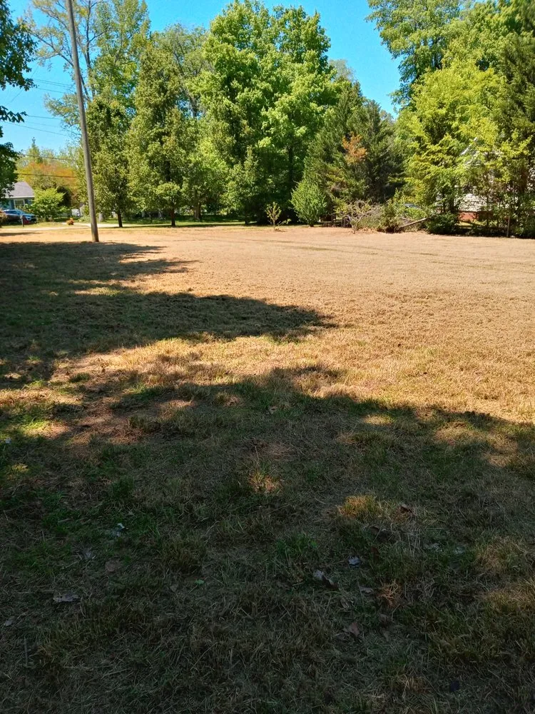 Expert lawn care service in Greensboro, NC - Natural Frontier Landscaping