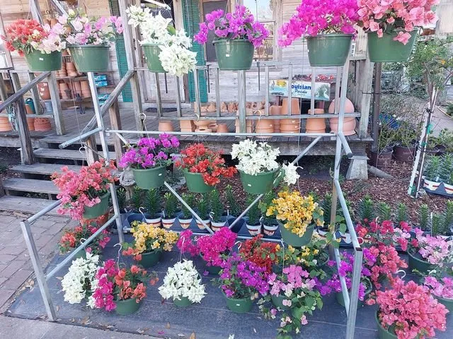 Professional lawn care service with custom design across Jennings, LA - Natural Garden And Nursery