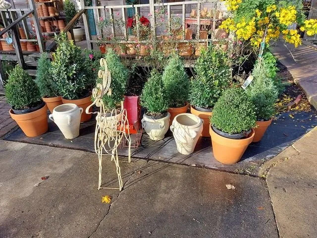 Professional landscape design for outdoor upgrades in Jennings, LA by Natural Garden And Nursery