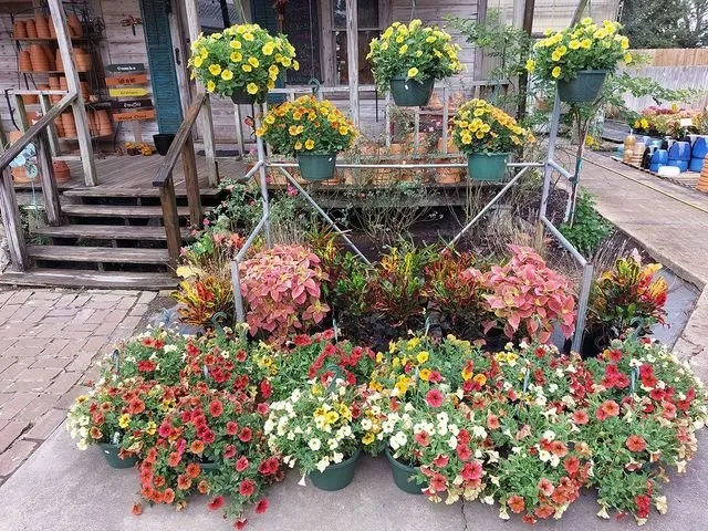 Professional yard maintenance experts serving Jennings, LA - Natural Garden And Nursery