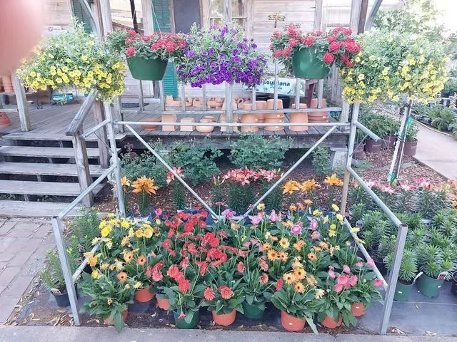 Expert garden landscaping experts serving Jennings, LA - Natural Garden And Nursery