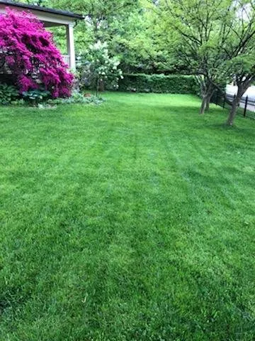 Top-rated yard maintenance in Conshohocken, PA by Natural Gardens & Lawns