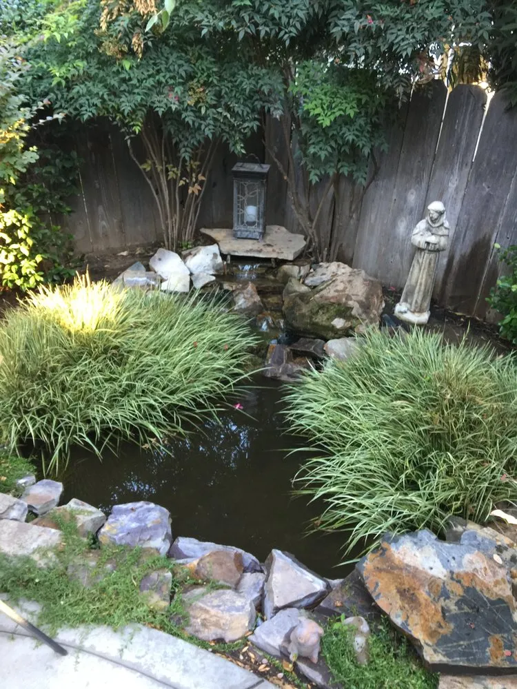 Expert yard maintenance in Merced, CA by Natural Gardens
