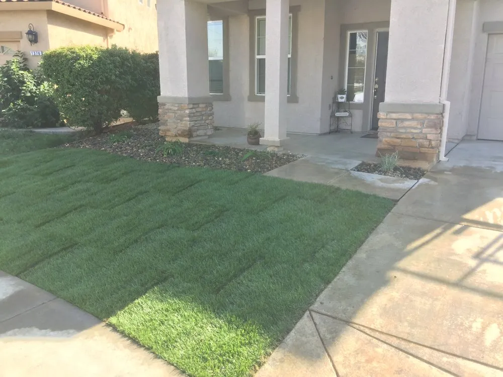 Local yard cleanup service experts serving Merced, CA - Natural Gardens