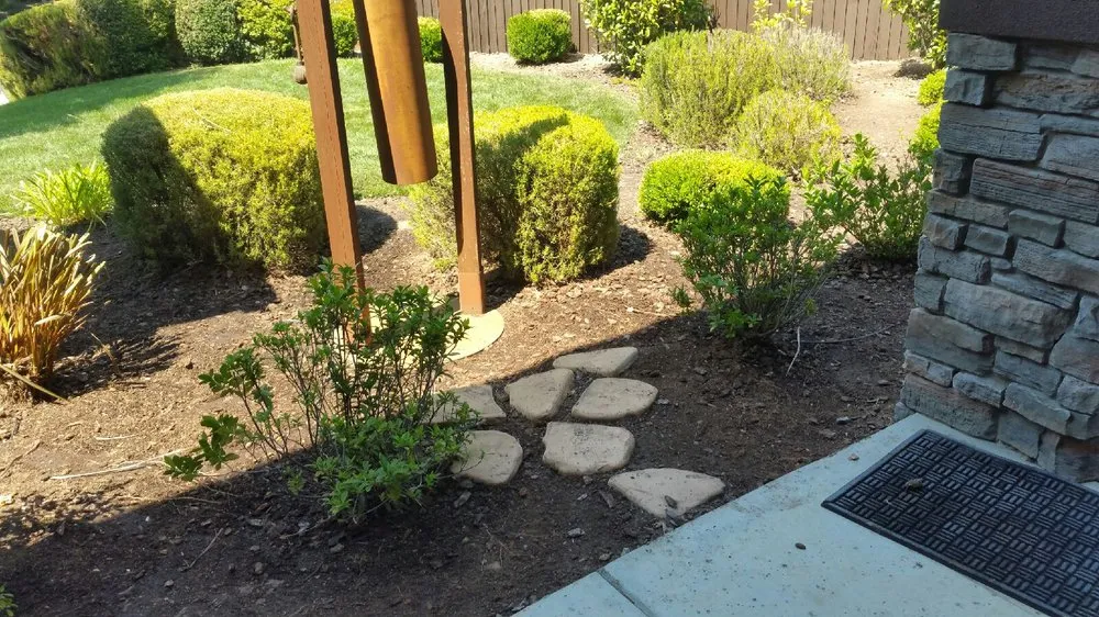 Local yard maintenance for beautiful yards across Sacramento, CA - Natural Green Gardening