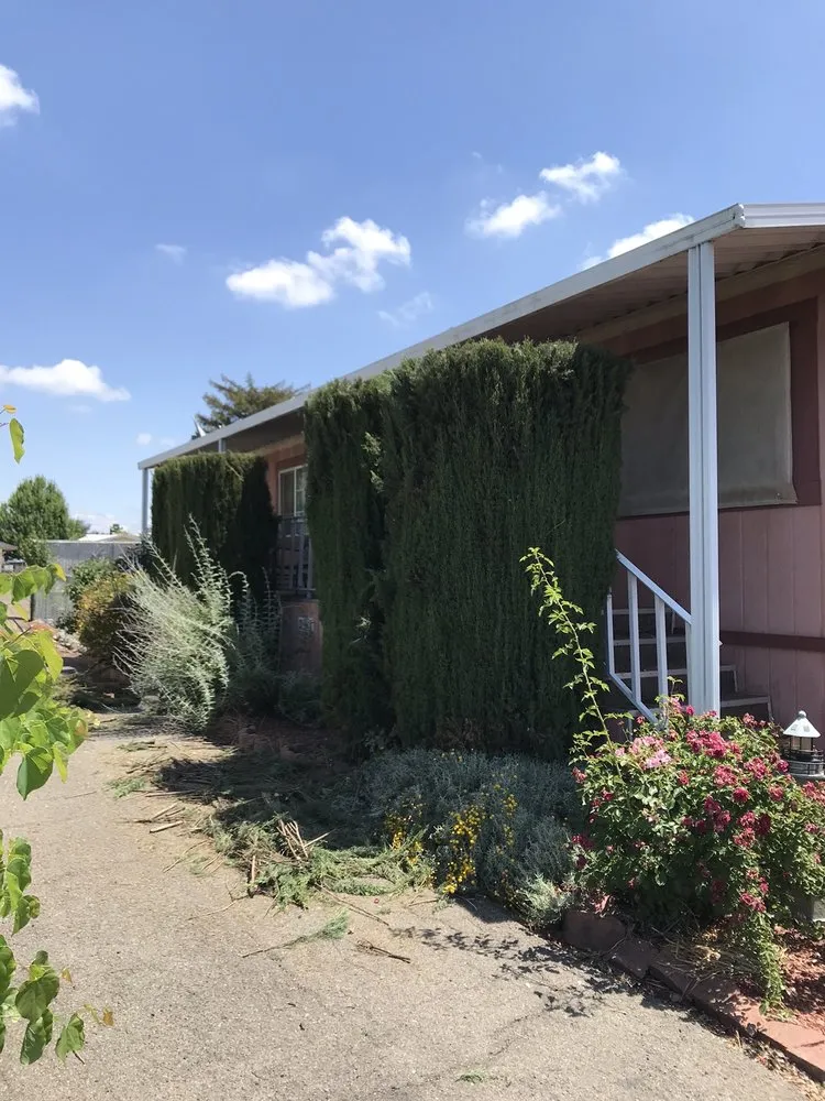 Professional landscape installation for residential properties across Sacramento, CA - Natural Green Gardening