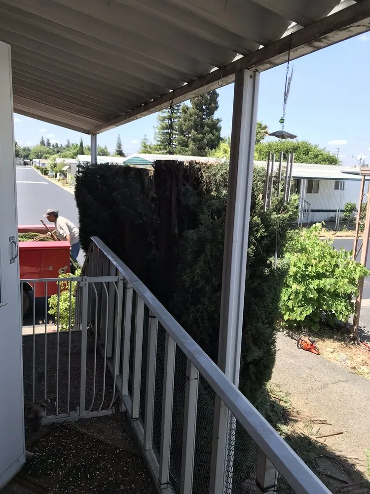 Trusted lawn care service for residential properties across Sacramento, CA - Natural Green Gardening