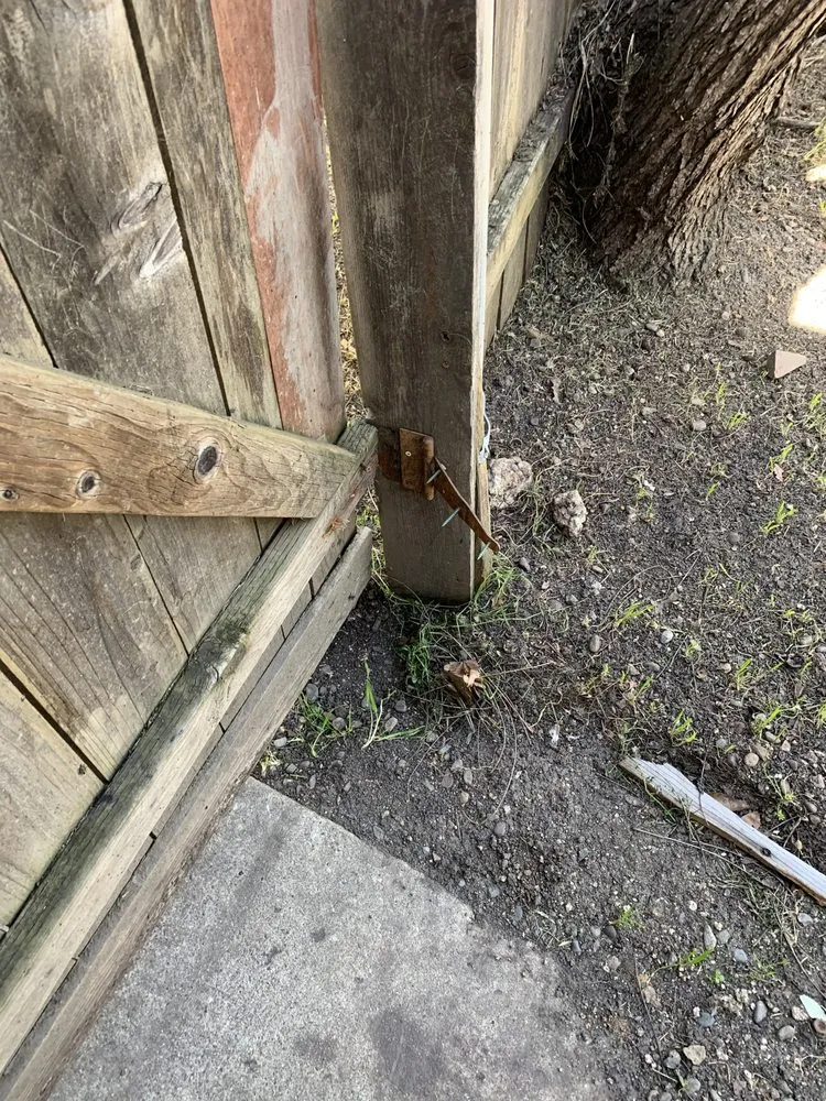 Expert landscape installation experts serving Sacramento, CA - Natural Green Gardening