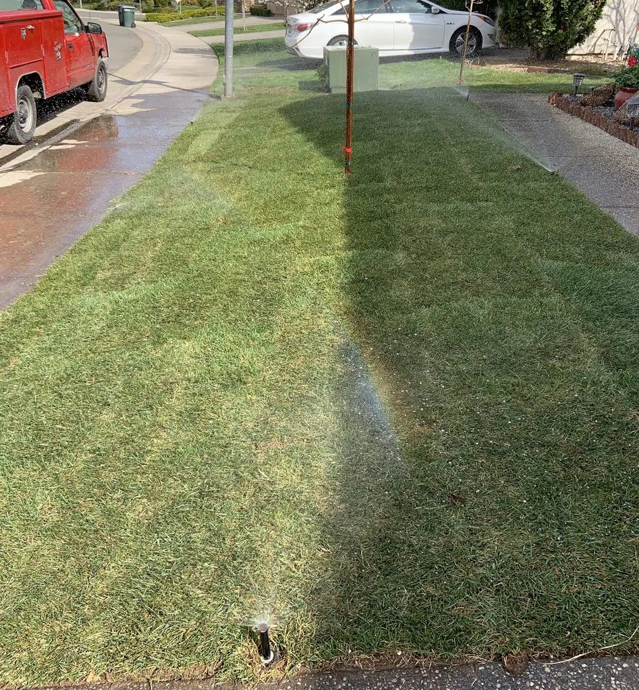 Affordable yard maintenance for residential properties across Sacramento, CA - Natural Green Gardening